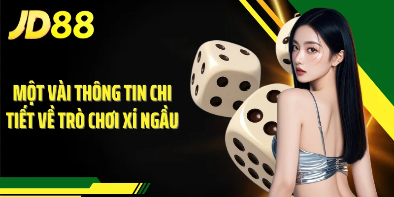 Một vài thông tin chi tiết về trò chơi Xí Ngầu
